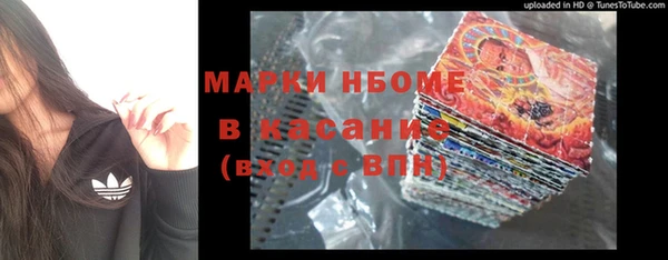 гидра Корсаков