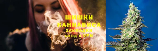 гидра Корсаков
