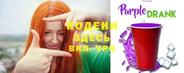 гидра Корсаков