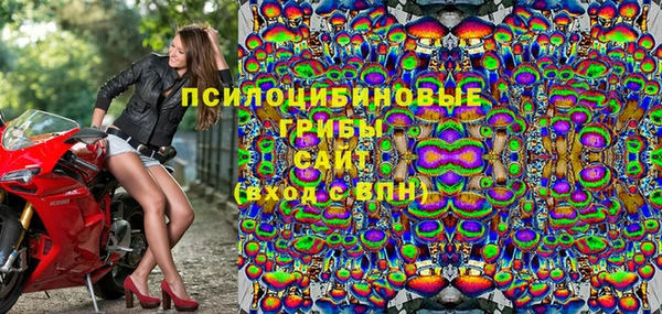 гидра Корсаков