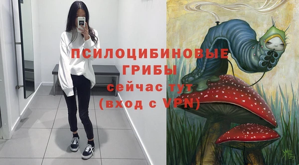гидра Корсаков