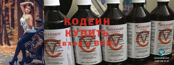 гидра Корсаков