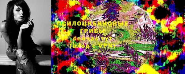 синтетический гашиш Коряжма