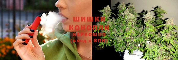 гидра Корсаков