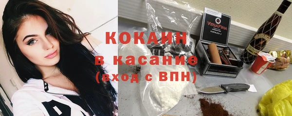 гидра Корсаков